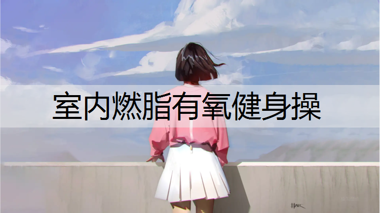 室内燃脂有氧健身操