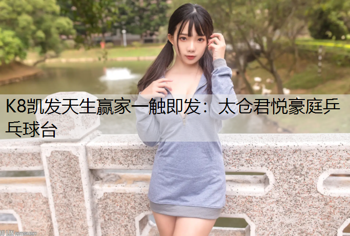 K8凯发天生赢家一触即发：太仓君悦豪庭乒乓球台