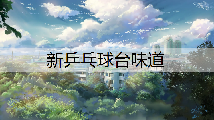 新乒乓球台味道