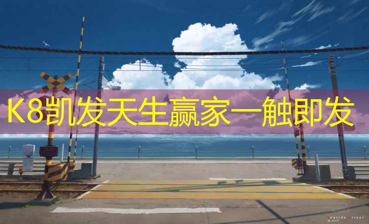 K8凯发天生赢家一触即发：郑州蝶湖塑胶跑道