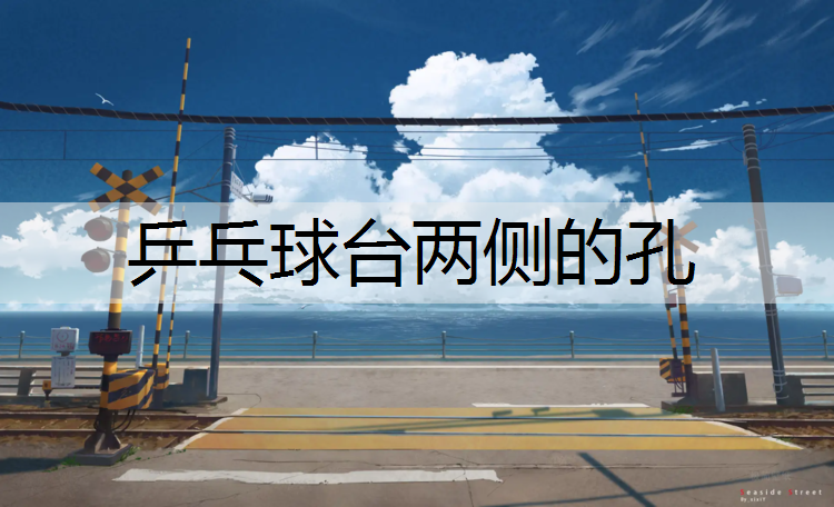 乒乓球台两侧的孔