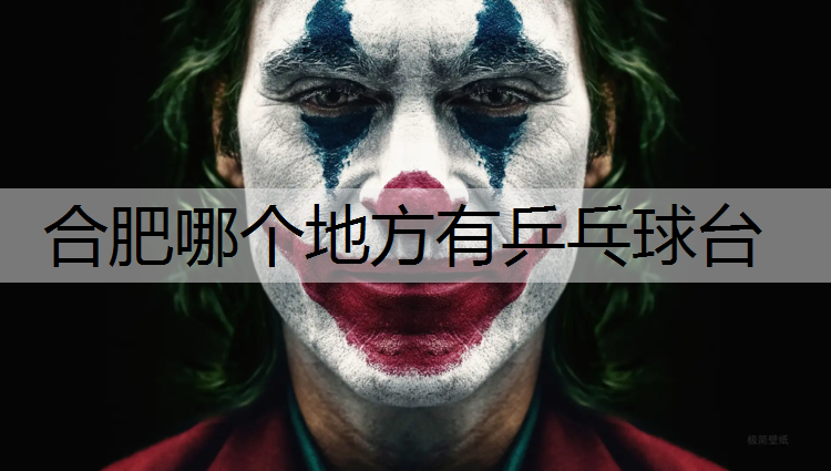 合肥哪个地方有乒乓球台