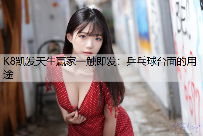 乒乓球台面的用途