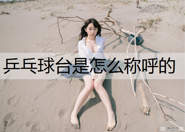 乒乓球台是怎么称呼的