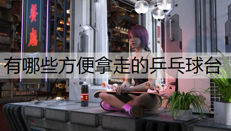 有哪些方便拿走的乒乓球台
