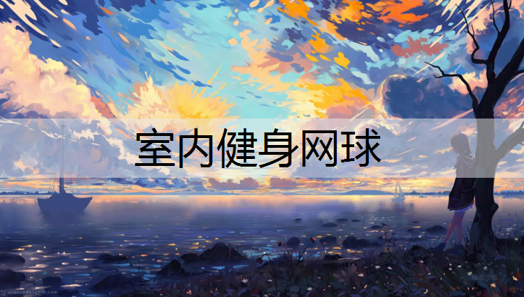 室内健身网球